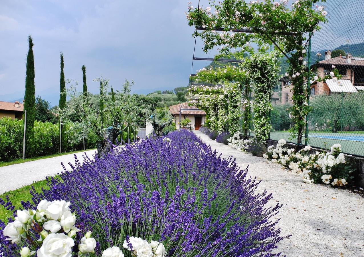 Miramonti Bed & Breakfast Iseo Exterior photo